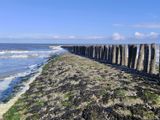 Cadzand