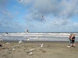 Foxton Beach