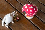 Mushroom poisoned