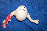 compound fracture egg