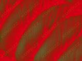 Four Layers of Fire