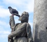 Holy Trinity Column detail with pigeon