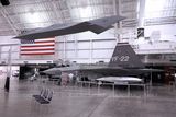 Raptor and Bird of Prey.jpg