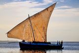 Sailing dhowl, Zanzibar