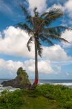 Coastal scenery, Tutuila