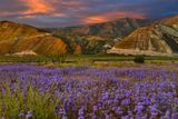 CA - Highway 46 Thistle Sage Mountains 1.jpg