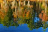 TX - Caddo Lake Big Cypress Bayou River Reflection.jpg