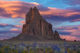 NM Shiprock Larkspur and Bee Flower Sunset.jpg