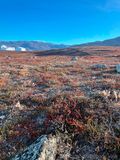Tundra on Rde Island - Toendra op Rde Island