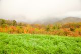 Mountain Meadow in Autumn