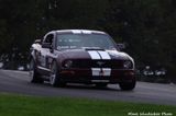 Robert Damler T3