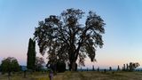 McMinnville Oregon Hilltop Cemetery