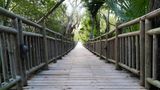 Walkway to the Beach