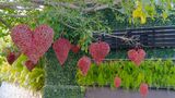 Vidanta Riviera Maya Hearts