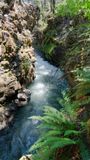 Rogue River Gorge