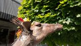 Baker City Giraffe Sculpture Eating Leaves