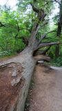 Short Sand Beach Trail