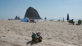 The Pandafords Visit Cannon Beach Oregon
