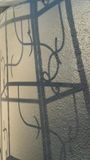 Cabo Shadows