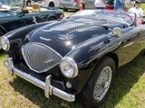 Austin Healy 3000