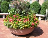 Planter