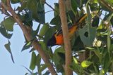 IMG_0902-Sh.jpg