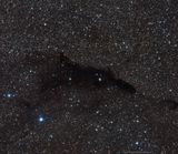 Barnard 252 the dolphin nebula
