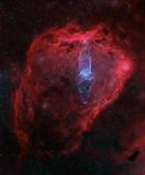 The squid and Flying Bat nebula