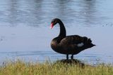 IMG_2732-S