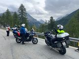 IMG_7785.jpeg