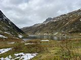 IMG_7827.jpeg