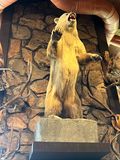 IMG_8591.jpeg