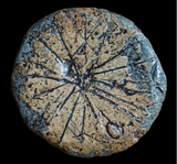 Disk with radially arranged runes, lead with silver stud on reverse, 3 cm diameter, Yorkshire.