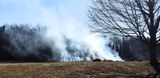 A controled burn of weed fields