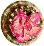 ORCHID BLOSSOM IN A GLASS