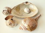 Beachfinds Second Day