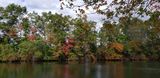 Fall Colors in Northwest New Jersey Today