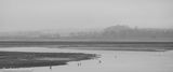 Montrose Basin, October 2022