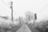D237, the road to Les Blanchards