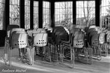 Stacked Chairs in Bandstand
