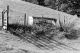 Field gate shadow, Coniston