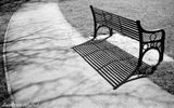 Shadows, Crossley Park