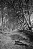 Upper Moor, Derbyshire