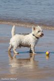 Play with me