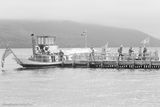 Steam Yacht Gondola