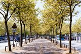 Midsummer Boulevard, Milton Keynes