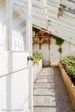 Greenhouse, Baddesley Clinton