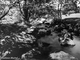 Burbage Brook, September 2024