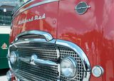 Midland Red