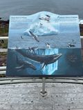 cape spear